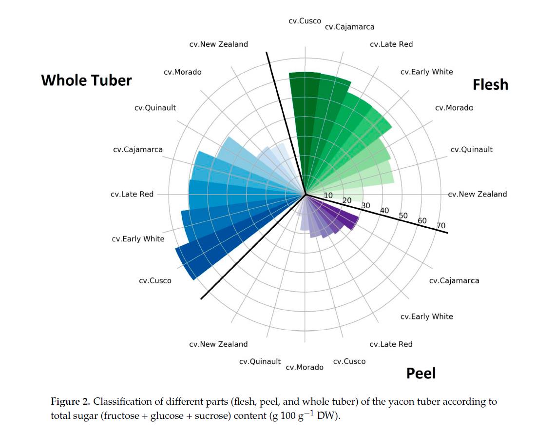 Classification of Different Parts of the Yacon Tuber According to Total Sugar Content