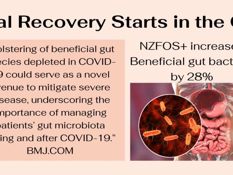 Viral Recovery starts in the gut